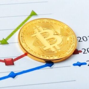 Bitcoin's All-Time High and Crypto Market Turbulence: January 2025 in Review