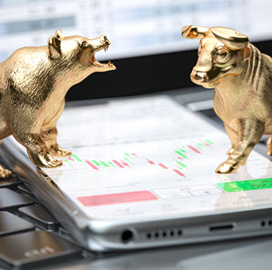 Are we in a bull run right now